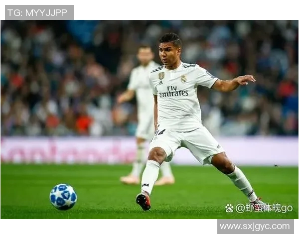 30号球星的魅力与故事 盘点足球队中30号球员的精彩表现与贡献