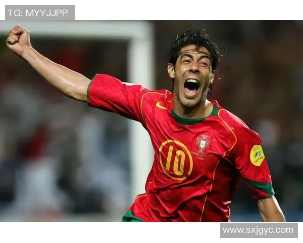 逐年聚焦世界足球巨星成长与辉煌轨迹全景式人物年鉴