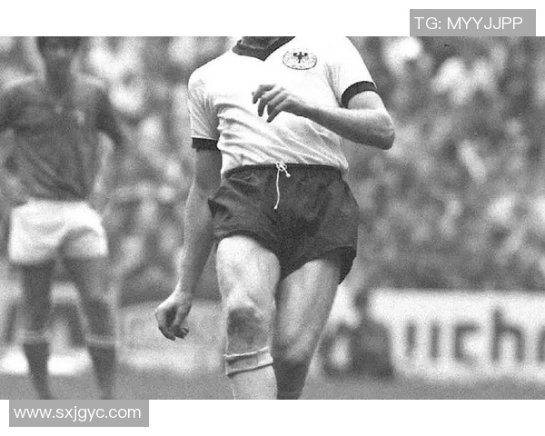 博科足球球星的辉煌历程与背后不为人知的故事