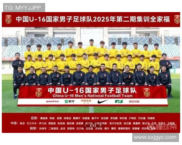 多位足球巨星重返国家队让球迷期待 决战国际赛场再续辉煌